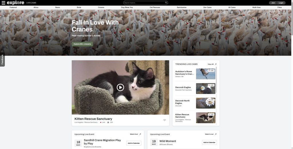 explore.org Review: The Internet’s Best Live Nature Cams