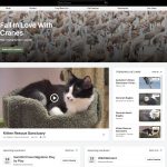 explore.org Review: The Internet’s Best Live Nature Cams